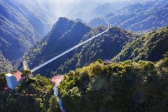 一颗橙“链”动一座城